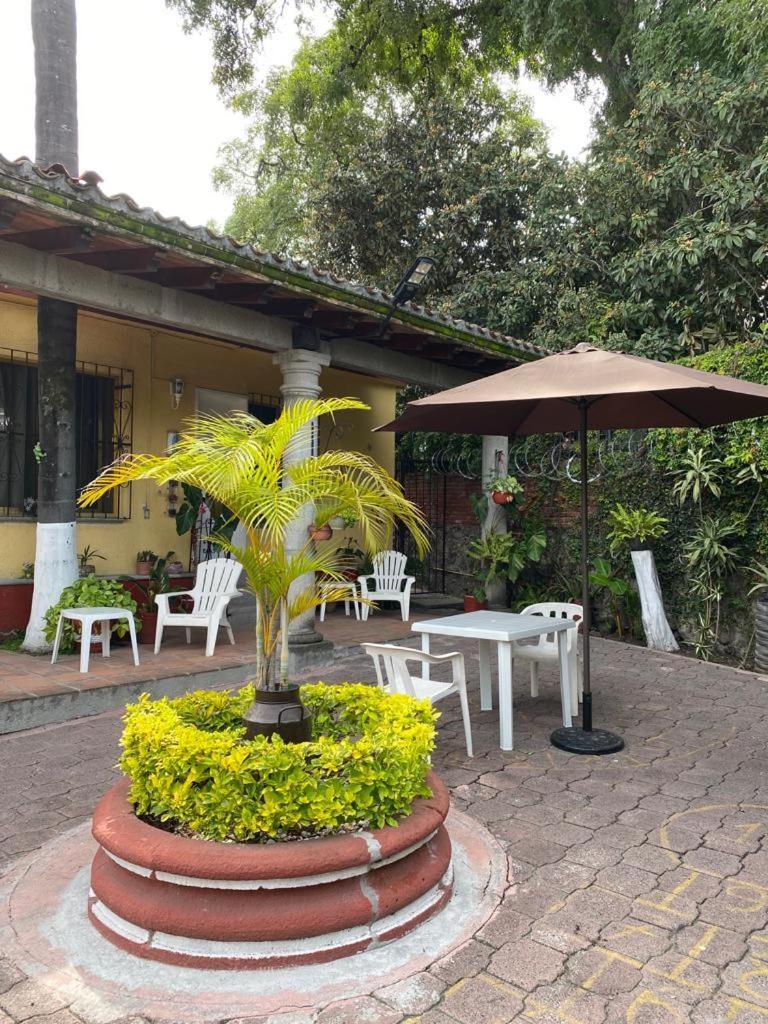 Quinta Angeles Daire Cuernavaca Dış mekan fotoğraf